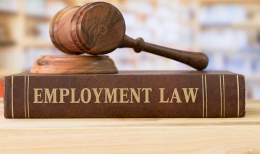 Developments In Employment Law Jurispudence In Zambia: Analysis